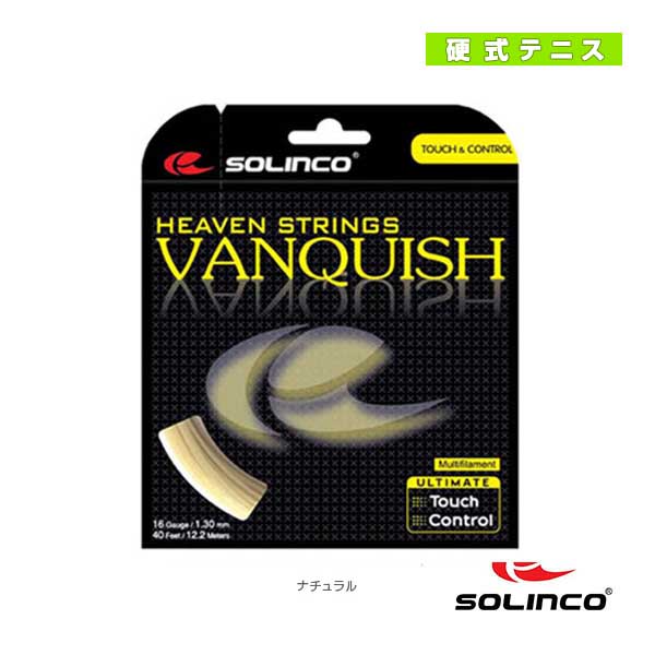 [SOLINCO（ソリンコ） ストリング（単張）]VANQUISH／バンキッシュ（KSC782）